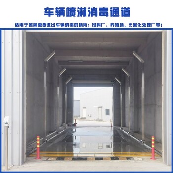 四川供應(yīng)DZ-1口岸集裝箱車輛消毒進出車輛噴淋消毒