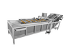 利特定制清洗机、果蔬气泡清洗机、多功能清洗机