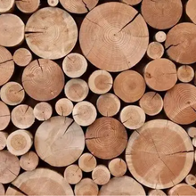 非洲木材进口关税流程