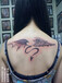 翅膀紋身圖案#天使與魔獸翅膀紋身#吳江酷炫紋身