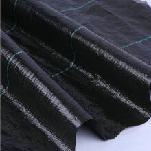 130克PE布,可折叠防雨布,防水布,聚乙烯PE防渗布图片