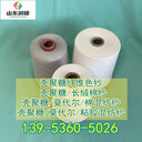 殼聚糖纖維紗50s殼聚糖棉混紡紗線殼聚糖莫代爾紗供應(yīng)