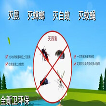 灭鼠除虫公司上海消杀除四害除蟑螂