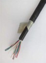 耐寒電纜·、耐低溫拖鏈電纜2x0.3\2x0.5\2x0.75\2x1.0\2x1.5