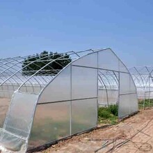 杭州西湖區標準養蠶大棚成本多少錢一平方圖片