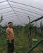 喀什地區塔什庫爾干塔吉克自治縣標準養蠶大棚成本多少錢一平方