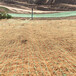 武威环保草毯边坡植被垫可定制