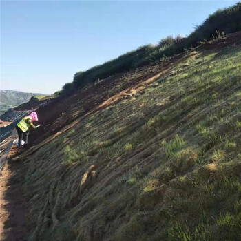 锡林郭勒植物纤维毯纤维草毯湿度条件