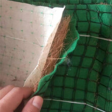 烏蘭察布加筋抗沖生態毯,椰絲毯可定制圖片