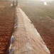 汉中加筋抗冲生态毯椰纤植草毯厚度