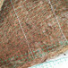 佛山生态植物防护毯植草椰丝毯规格