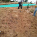 浙江生态植物防护毯加筋草籽毯质量