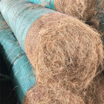 中山护坡生态植草毯椰纤毯可裁剪