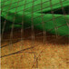 黄冈生态植物防护毯椰丝植物纤维毯生产