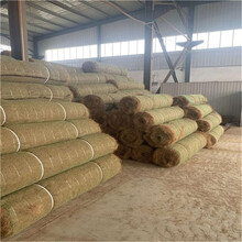 遼源椰絲植生毯椰纖毯廠家圖片