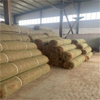 咸宁护坡生态植草毯椰丝纤维毯施工进度