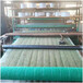 青海生态植物防护毯加筋复合生态草毯抗拉