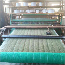 鄭州植物纖維毯,椰絲毯檢測方法圖片