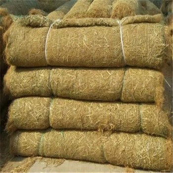 陇南生态植物防护毯椰纤植生毯特点