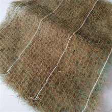 寧德護坡生態植草毯加筋麻椰固土毯特點圖片