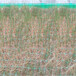 池州环保草毯椰丝护坡毯湿度条件