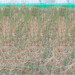 神農架環保草毯邊坡植物纖維毯施工條件