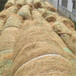 山西生态植物防护毯稻草植生毯施工