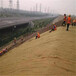扬州植物纤维毯公路植生毯可定制