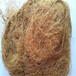 江西生态植物防护毯椰纤植草毯公司