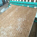 梧州护坡生态植草毯护坡椰丝毯库存
