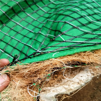 内蒙古生态植物防护毯护坡植被纤维毯品质