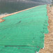巢湖护坡生态植草毯椰纤植生毯代理