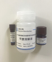 MTT检测试剂盒（改良型甲臜溶解液）江苑生物