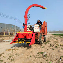 大型圆盘式玉米秸秆青储机牧草小麦收割机玉米收割机农业机械设备