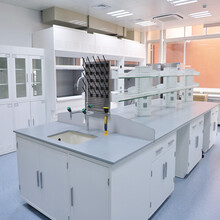 实验台实验室工作台钢木化验室操作台中央试验台实验桌全钢通风柜