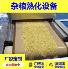微波黄豆炒熟设备多功能五谷杂粮熟化设备大豆烘烤机