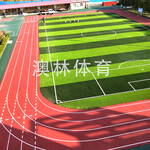 河南新乡中小学校塑胶跑道材料运动场塑胶场地幼儿园塑胶跑道