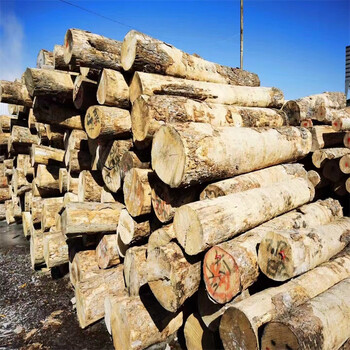 运动木地板厂家沧州鑫州工程公司生产枫桦木枫木柞木等木地板