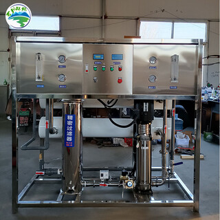 蒸汽发生器用软水设备3吨反渗透水处理设备定制生产厂图片2