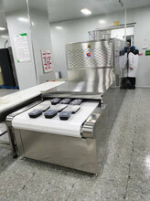 沃斯特盒饭微波加热设备农副产品微波干燥杀菌设备