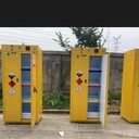 CHENGLIN易燃品毒害品存儲柜-智能型-成霖科技?xì)g迎閣下