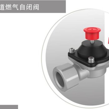 广州燃气管道阀门化气炉报警器安装公司
