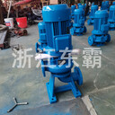 65LW37-13-3KW無堵塞直立式排污泵管道排污泵排澇泵雜質(zhì)泵