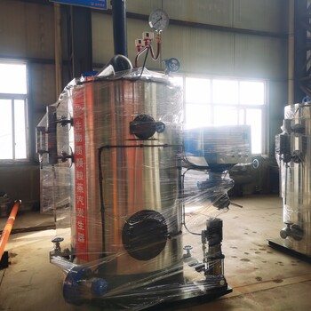 烘干加工蒸汽发生器LHS1-0.7燃气蒸汽发生器