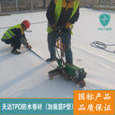 外露FS型背襯TPO防水卷材GB18173.1-2012標(biāo)準(zhǔn)
