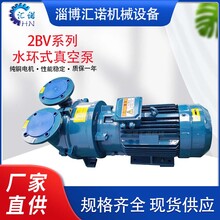淄博水环式真空泵2BV系列高真空液环耐腐蚀
