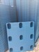 福州塑料托盘出售二手塑胶卡板吹塑防潮垫仓货架托盘木托盘木栈板