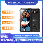 BIGWALNUT大核桃三防手机4+64G