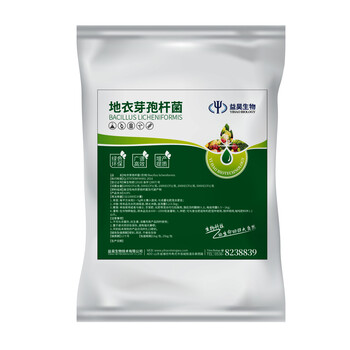 地衣芽孢桿菌飼料添加劑產(chǎn)酶能力強(qiáng)