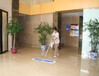 广州白云区写字楼保洁，公司招清洁阿姨，日常保洁外包服务